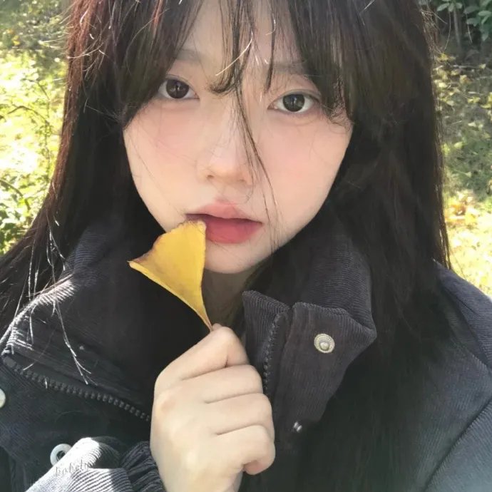 都柏林动物